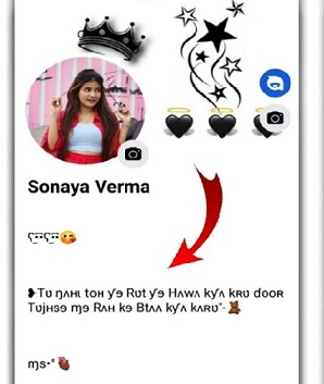 facebook bio for girls